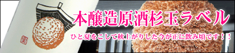 本醸造原酒杉玉ラベル